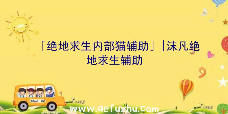 「绝地求生内部猫辅助」|沫凡绝地求生辅助